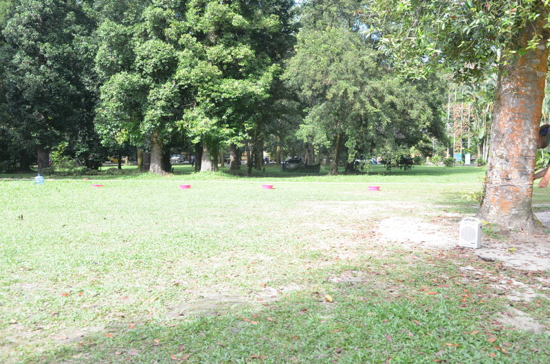 0101 DSC 5398